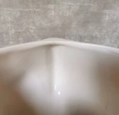 Jardinière Eléphant En Céramique 32 Jardinière Eléphant En Céramique -Jardin Fournitures Boutique 008b84f4 3d17 4791 86e3 282ca28ab762