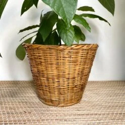 Jardin Fournitures Boutique -Jardin Fournitures Boutique 0177b426 5535 408a be94 5301276e81f8