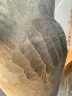 Auge En Bois 13 Auge En Bois -Jardin Fournitures Boutique 021116ac 7bc0 4d05 b3c5 0b9b43e0aa6d