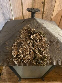 Lanterne A Poser -Jardin Fournitures Boutique 0277dd83 db4c 4e24 a92d cff4401f6001