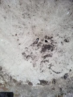 Vasque éternit 80cms De Diamètre -Jardin Fournitures Boutique 03a38327 86ce 49bb b24a 190de52eb726