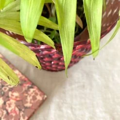 Cache Pot Syla Bakélite -Jardin Fournitures Boutique 044a1872 a351 4f25 987c 7df299d7d993