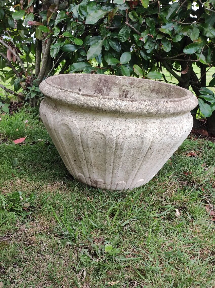 Pot Grandon Fres 4 Pot Grandon Fres – Image 2