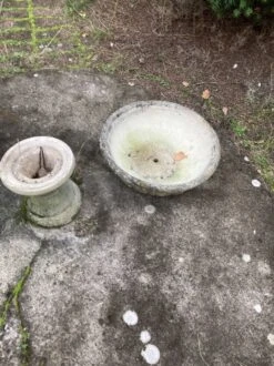 Jardinière, Pot -Jardin Fournitures Boutique 05e55e42 7341 49e2 957f 21b00f9872e3