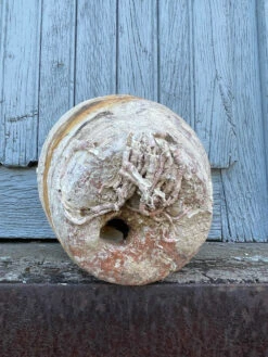 Piège à Poulpe En Terre Cuite Du 19ème Siècle -Jardin Fournitures Boutique 0f2579ac cb41 4d17 b95d 0a293f1e8a2f