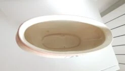 Planteur – Planteur Moderniste – Gustav De Brum – Certificat D’authenticité 19 Planteur – Planteur Moderniste – Gustav De Brum – Certificat D’authenticité -Jardin Fournitures Boutique 101c7cd7 58cc 4185 98bd 312263c9d55d