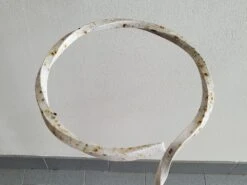 Porte-plantes Vintage 1950 -Jardin Fournitures Boutique 11b7e130 c5c8 44f3 be4e 8e7ca0097734