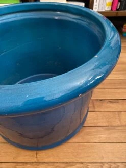 Cache Pot Bleu Avec Fleur De Lys -Jardin Fournitures Boutique 121b249a bf53 4d06 baa9 d860f194dea3