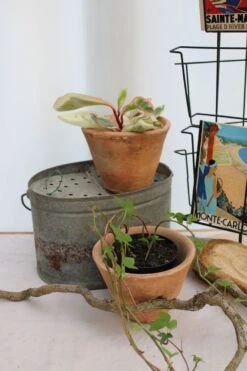 Lot De 2 Pots à Résine -Jardin Fournitures Boutique 16a2b93b 72e6 4544 a87e 771d7a55d50c
