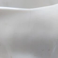 Cache Pot Coquillage -Jardin Fournitures Boutique 1a51b198 a636 4585 aded 7ac3c10dd1e6