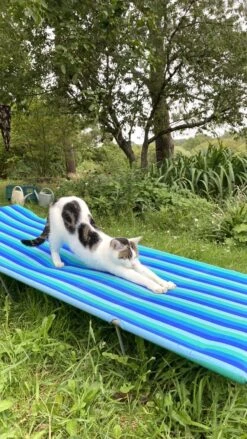 Transat , Bain De Soleil Vintage ,démontable -Jardin Fournitures Boutique 1bbe8359 7a22 4ecb 97f0 fd3369ae6c70