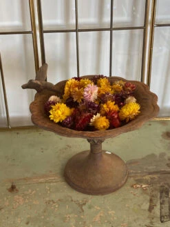 Bain D'oiseau -Jardin Fournitures Boutique 1cc241fa 73f0 4f62 b979 81f5d1fc55e9