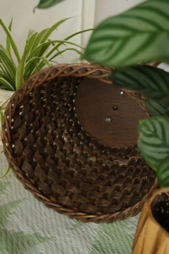 Porte-plante Vintage Roseau Tréssé Bois Courbé -Jardin Fournitures Boutique 1e95bf32 0714 47ab 82f5 5fd982789760