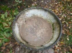 Vasque Eternit -Jardin Fournitures Boutique 2278c39d c969 42d6 adb4 525b67779193