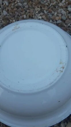 Bassine Tôle émaillée 15 Bassine Tôle émaillée -Jardin Fournitures Boutique 22cd8c82 aa4e 4006 b063 7ce183134b20