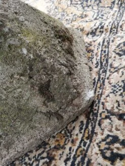 Table Hexagonal Design En Béton -Jardin Fournitures Boutique 253e5c38 30d3 40a4 b88f 56b68dd954f3