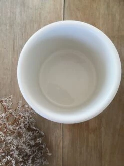 Cache-pot Vintage The Botanic Garden -Jardin Fournitures Boutique 259b49aa f154 417c ac81 4c6641f90a82