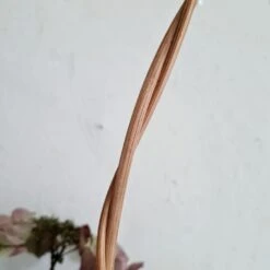 Porte Plantes Ou Support En Rotin Et Scoubidou 18 Porte Plantes Ou Support En Rotin Et Scoubidou -Jardin Fournitures Boutique 27ef1fea b539 4534 a606 7626fb45aab3