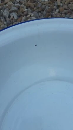 Bassine Tôle émaillée 17 Bassine Tôle émaillée -Jardin Fournitures Boutique 28efba05 9dba 4bf2 84ce 357e49cfe0f2