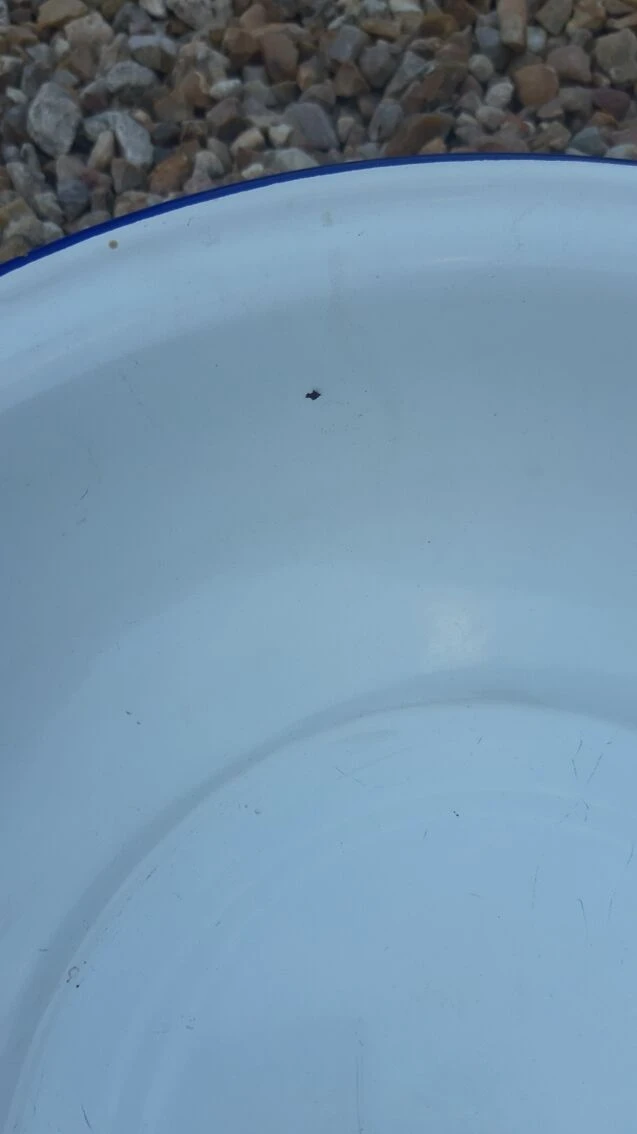 Bassine Tôle émaillée 8 Bassine Tôle émaillée – Image 6