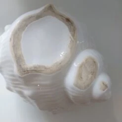 Cache Pot Coquillage -Jardin Fournitures Boutique 29ded9a9 dfee 4415 bd15 c54d8621b222