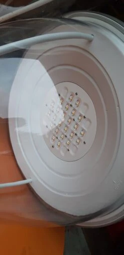 Lampes D'extérieur Lysar -Jardin Fournitures Boutique 2aeefcba 02d5 419d a974 a0a6b029193e