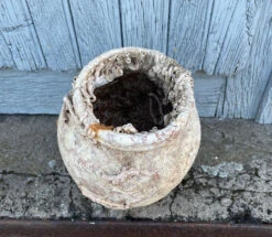 Piège à Poulpe En Terre Cuite Du 19ème Siècle -Jardin Fournitures Boutique 2bd33328 c662 4239 ba22 8934e65650e6