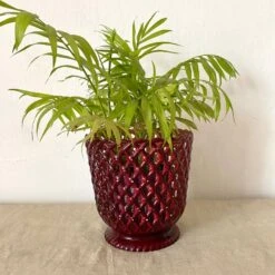 Cache Pot Syla Bakélite -Jardin Fournitures Boutique 2d4341b6 7cf6 4c5a 84bc 0afd0a984724