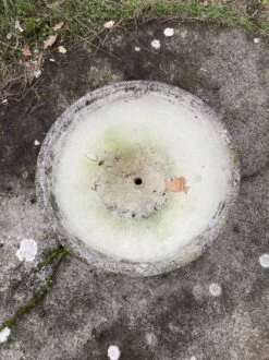 Jardinière, Pot -Jardin Fournitures Boutique 30d4cb30 d782 4b6a bfae 92b74d9c303b