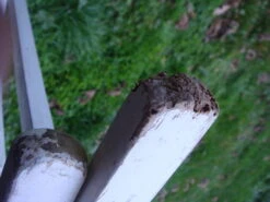 Lot De 4 Fauteuils Et Un Banc R.Gleizes Youpy -Jardin Fournitures Boutique 330a1c41 b226 4202 ad2e 4c386648bf63