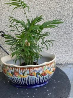 Jardiniere En Barbotine Céramique Emaillee Motif Aux Oiseaux Multicolores Et Bleu Cobalt, Art Deco 16 Jardiniere En Barbotine Céramique Emaillee Motif Aux Oiseaux Multicolores Et Bleu Cobalt, Art Deco -Jardin Fournitures Boutique 348f853e df87 48e7 b924 c60caf445f6b