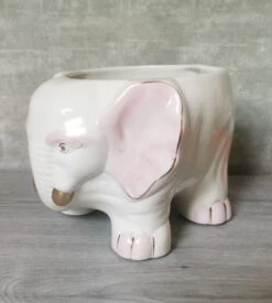 Jardinière Eléphant En Céramique 24 Jardinière Eléphant En Céramique -Jardin Fournitures Boutique 3a39cf71 8881 4713 9a1b cfb07c3c654e