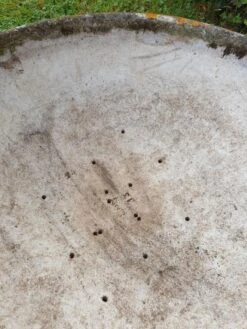 Vasque Design René Pechère édité Par Eternit -Jardin Fournitures Boutique 3ae3af3a 9c4a 4392 afa2 1095b3c6b9b3