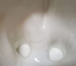 Jardinière Eléphant En Céramique 34 Jardinière Eléphant En Céramique -Jardin Fournitures Boutique 3c6cfa6e 6d54 4230 9f45 cd33eca15c79