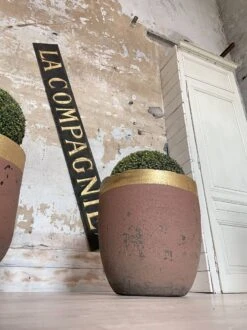 Jardinières, Creusets De Fonderie -Jardin Fournitures Boutique 412cd67c 8dc1 4855 9136 b29f64530e26