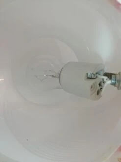 Lampe De Table En Verre De Murano -Jardin Fournitures Boutique 4511d2ef 2cb0 4038 86a6 80bccf32f760