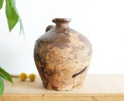 Jarre En Terre Cuite 19e Siècle -Jardin Fournitures Boutique 466d924b e810 421f a97f a476c12bd162