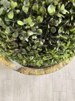 Jardinières, Creusets De Fonderie -Jardin Fournitures Boutique 4852fa5d f8c9 42bc b669 b5a157e32fac