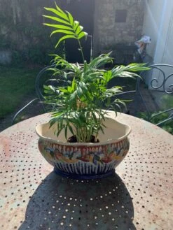 Jardiniere En Barbotine Céramique Emaillee Motif Aux Oiseaux Multicolores Et Bleu Cobalt, Art Deco 15 Jardiniere En Barbotine Céramique Emaillee Motif Aux Oiseaux Multicolores Et Bleu Cobalt, Art Deco -Jardin Fournitures Boutique 4a9af482 09b2 47d3 9a84 60a72d4eb102