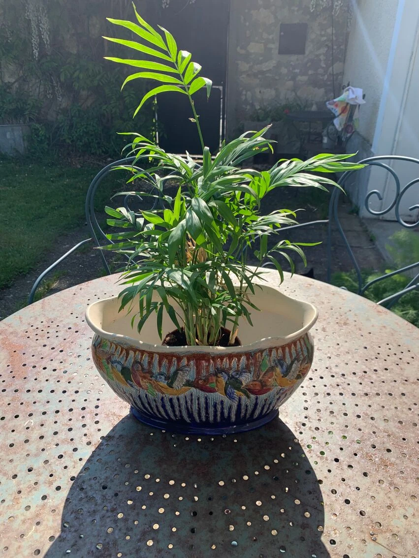 Jardiniere En Barbotine Céramique Emaillee Motif Aux Oiseaux Multicolores Et Bleu Cobalt, Art Deco 6 Jardiniere En Barbotine Céramique Emaillee Motif Aux Oiseaux Multicolores Et Bleu Cobalt, Art Deco – Image 4