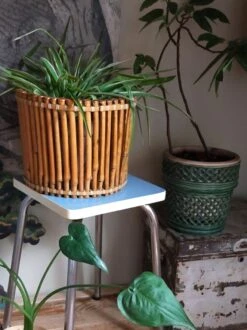 Corbeille Cache-pot Art-populaire Bambou Et Scoubidou Années 50 -Jardin Fournitures Boutique 4b6ca348 2995 46f4 9041 2b7c5a93a62e