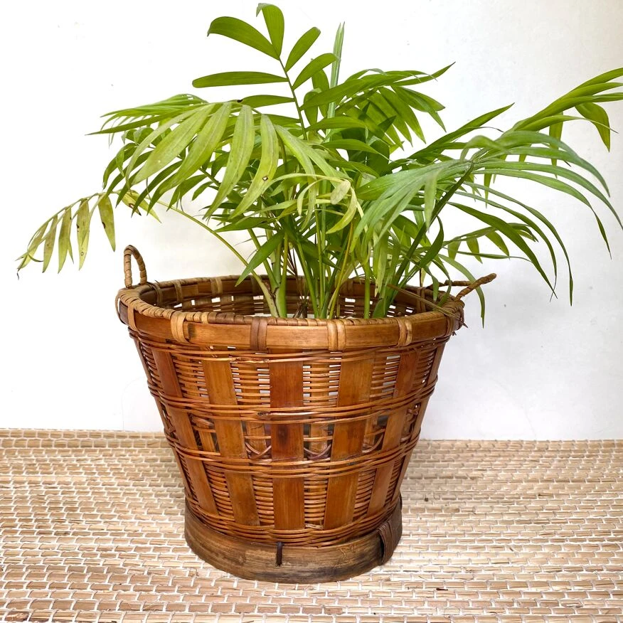 Caches Pots En Rotin 7 Caches Pots En Rotin – Image 5