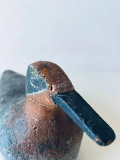 Ancien Canard En Liège -Jardin Fournitures Boutique 4c88fdbd f768 4341 940e ddef190f8e77