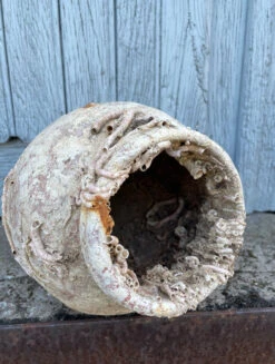 Piège à Poulpe En Terre Cuite Du 19ème Siècle -Jardin Fournitures Boutique 4cb89444 85a2 479b b629 41ea500b04b0