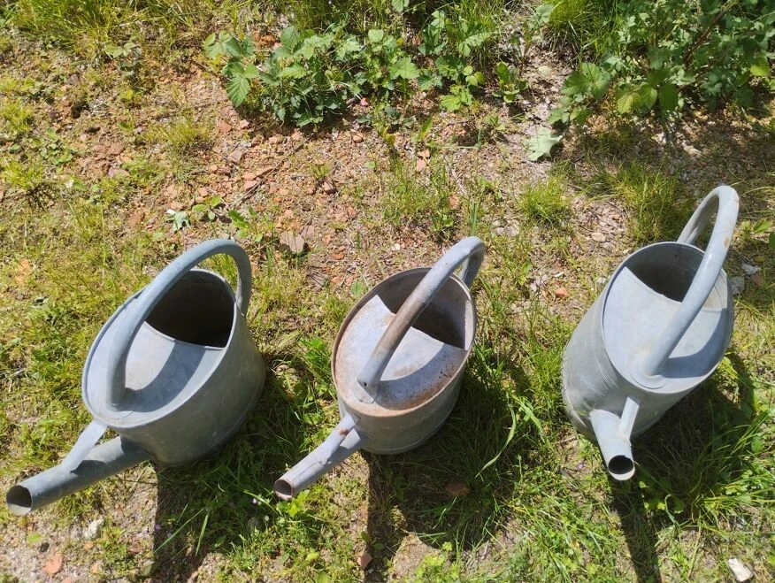 Lot De 3 Arrosoirs En Zinc 7 Lot De 3 Arrosoirs En Zinc – Image 5