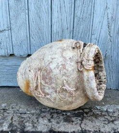 Piège à Poulpe En Terre Cuite Du 19ème Siècle -Jardin Fournitures Boutique 4eb09b87 5aaf 439c a523 ebd8f21e507e