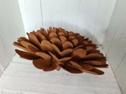 Fleur En Fer 7 Fleur En Fer -Jardin Fournitures Boutique 4eb7a026 2f98 4cff 8659 8fdf5fc4c213