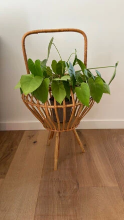 Porte Plante Ou Porte Revues Tripode En Rotin Vintage 1950 -Jardin Fournitures Boutique 5005c3cc 4cf6 4d9c b2c6 46967c9c1746