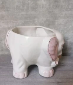 Jardinière Eléphant En Céramique 28 Jardinière Eléphant En Céramique -Jardin Fournitures Boutique 552b05e5 c201 491d b19d a39ea39abfed