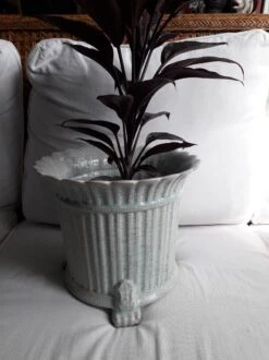 Céramique Craquelée Du XIX Siècle -Jardin Fournitures Boutique 5659ff64 b02e 4c81 a562 1aaca0bc82a6